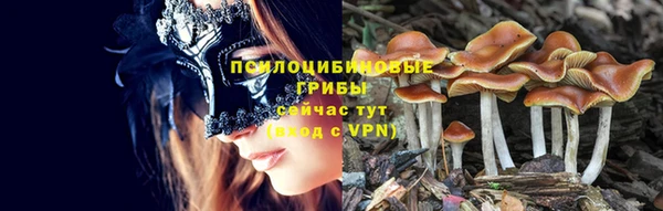 прущие крисы Новозыбков