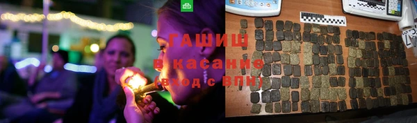 гашик Краснослободск