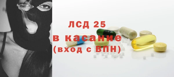 гашик Краснослободск